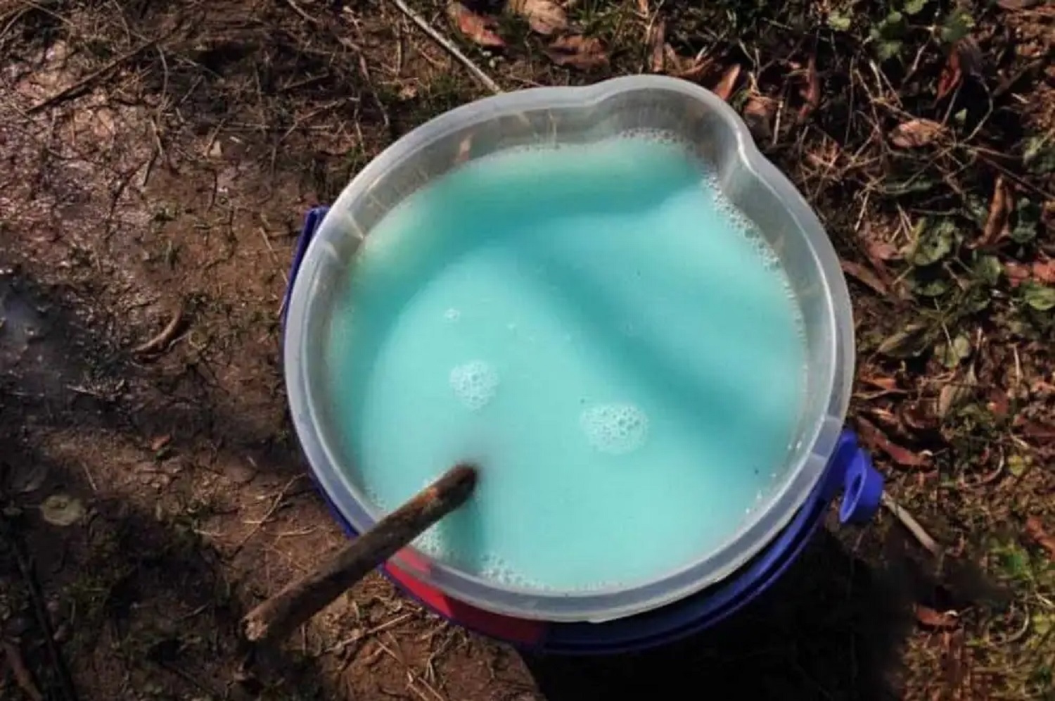 Обов'язково обробіть цим засобом город восени: від чого рятує мідний купорос